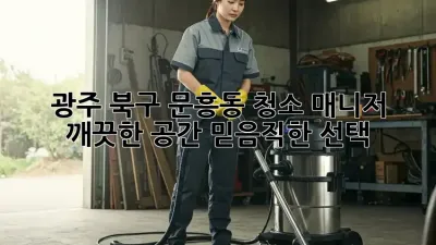 광주 북구 문흥동 청소 매니저: 깨끗한 공간, 믿음직한 선택